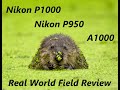 NIKON P1000, P950, A1000 ----  WILDLIFE Real World Review  (2020)