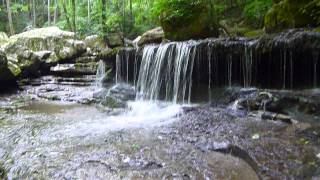 P1020228