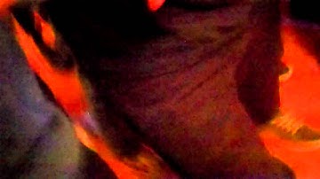 Algernon Cadwallader - Yo Soy Milk at Stevens Institute of Technology 4.28.12