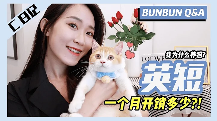 【Q&A】为什么突然养猫?!  ❤️ 养一只英短一个月的开销需要多少？😱我到底适不适合养猫呢.... - 天天要闻