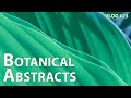 Shooting botanical abstracts | VLOG #23