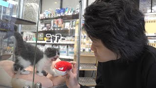 粗品、猫を飼う【猫の太客に会いに行く#1】