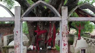 Full 3 PaliaLko Marg 13 14km Peepal 478 Guide