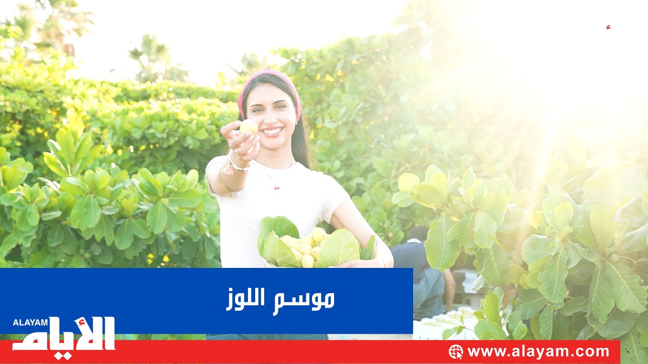 ������ ���������.. ��� ������ ������ ��� ������� ���������
 - نشر قبل 7 دقيقة