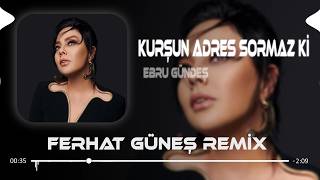 Kurşun Adres Sormaz Ki (Ferhat Güneş Remix) Ebru Gündeş - Depremlerde Yine Yüreğim