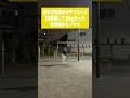 （神）近本光司選手がヤクルトにFA移籍して35kg太った世界線のモノマネ