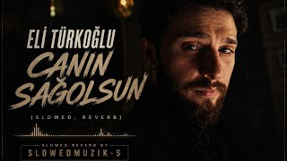 Eli Türkoğlu - Canın Sağolsun (Slowed,Reverb) Yaşanmadan Bi̇li̇nmi̇yor Vedalar