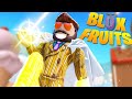 JE TESTE LE FRUIT DE LA LUMIÈRE sur BLOX FRUITS !! (Blox Fruits #37)