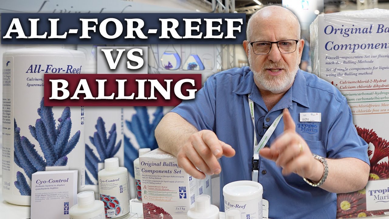 Баллинг против All-For-Reef — Tropic Marin