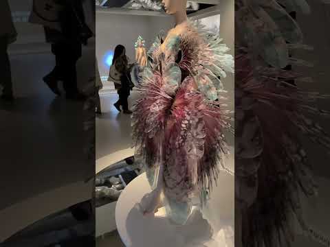 Video: Musée des Arts Décoratifs Pariisissa