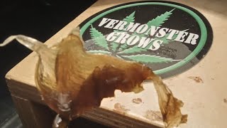 CoMe In AnD ChAt WiTh VerMonster GrOwS