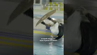 Вот же🏄‍♂️