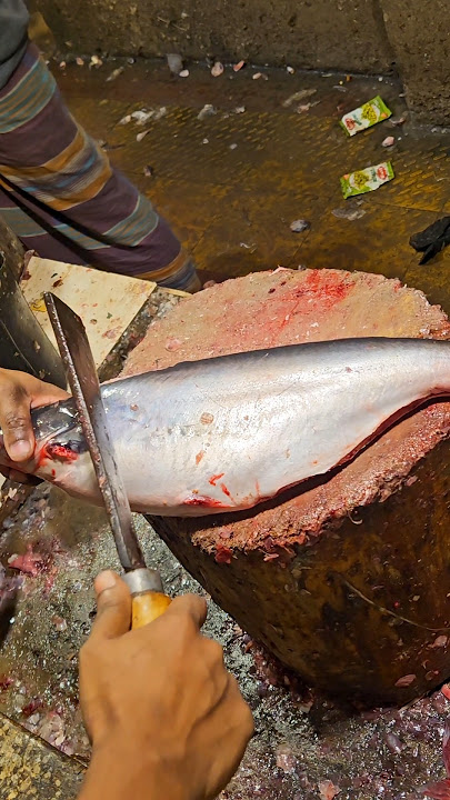 Amazing Pangas Fish Cutting Skills In Bangladesh Fish Market By Expert Cutter #shorts