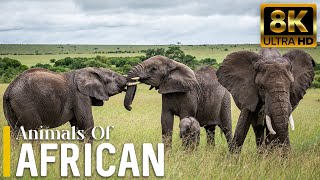 4K African Wildlife: Kilimanjaro National Park, Scenic Wildlife Film With Real Sounds