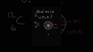 ¿Qué es la U.M.A ? #shorts