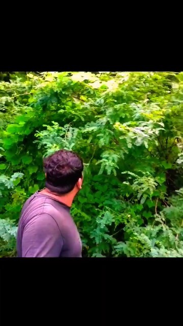 aaj main kapura Tod ke dilane wala hu #new #shorts