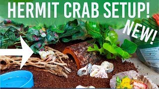 NEW TANK! Hermit Crab Tank Setup! | Lori's Hartland