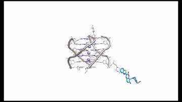 Ligand binding mechanism to DNA G-quadruplex
