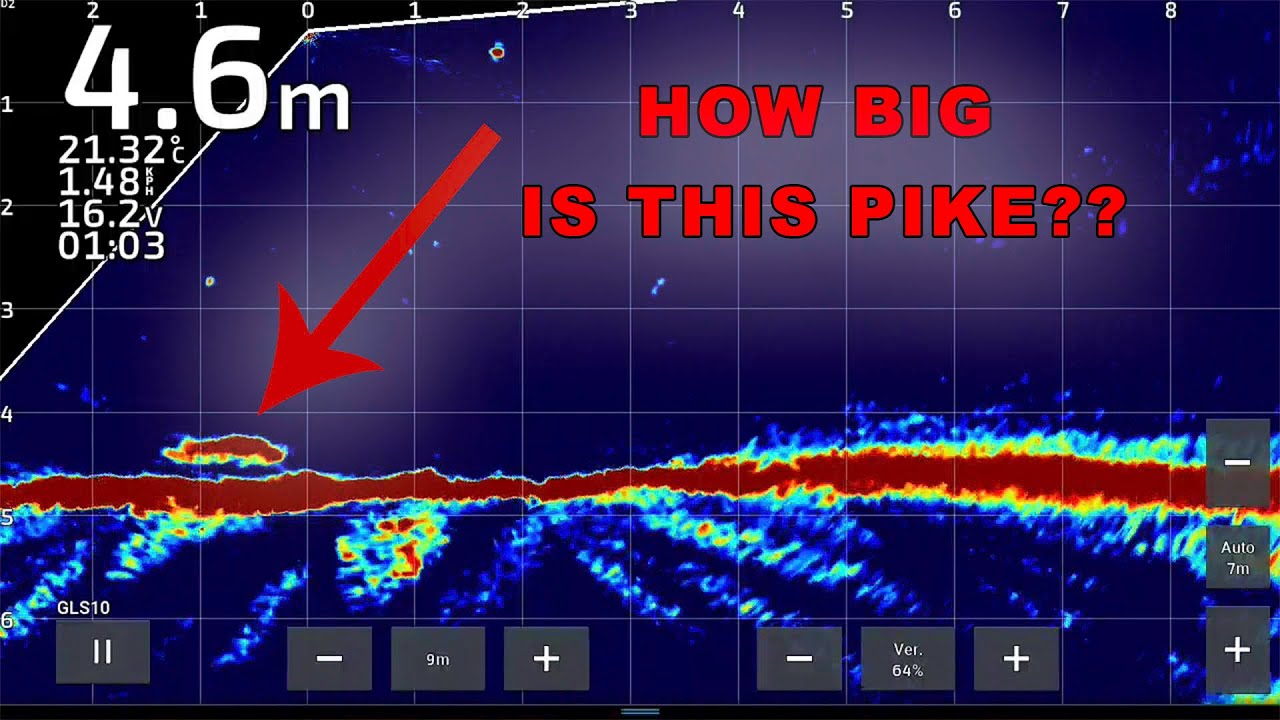 NEW PERSONAL BEST PIKE! (GARMIN LIVESCOPE FOOTAGE) YouTube
