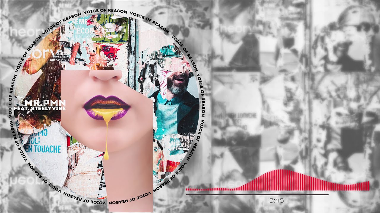 Mr.Pmn - Voice of Reason (feat. Steelyvibe)