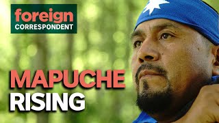 Chile's Secret War: Its First Nations are Fighting for Their Ancestral Lands | Foreign Correspondent