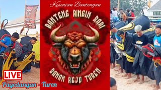 SENIOR vs JUNIOR BANTENG RINGIN SARI ( HUT RI 79 )@EKA PRASETYA