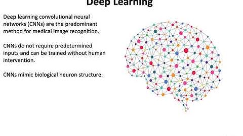 A 3D/2D Hybrid U-Net CNN approach to prostate organ segmentation of mpMRI