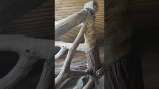 оформление дачного дома. мастер Иван Мызников. #сказочнаямастерскаяколесникова #raven #стройка