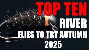 10 vliegen die je moet proberen voor het vissen in de herfst van 2025
