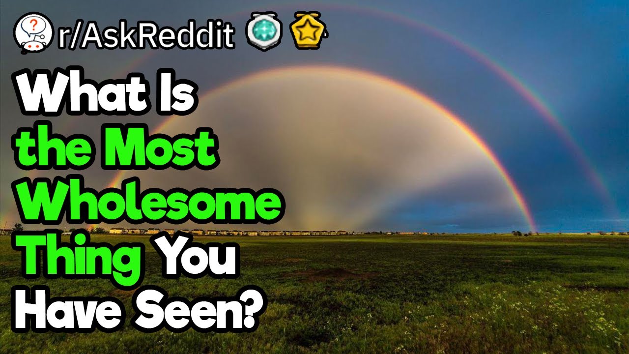 The Most Wholesome Moments Ever