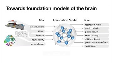 Digital Twins of the Brain and Inception Loops | Andreas Tolias | NeuroFM Workshop