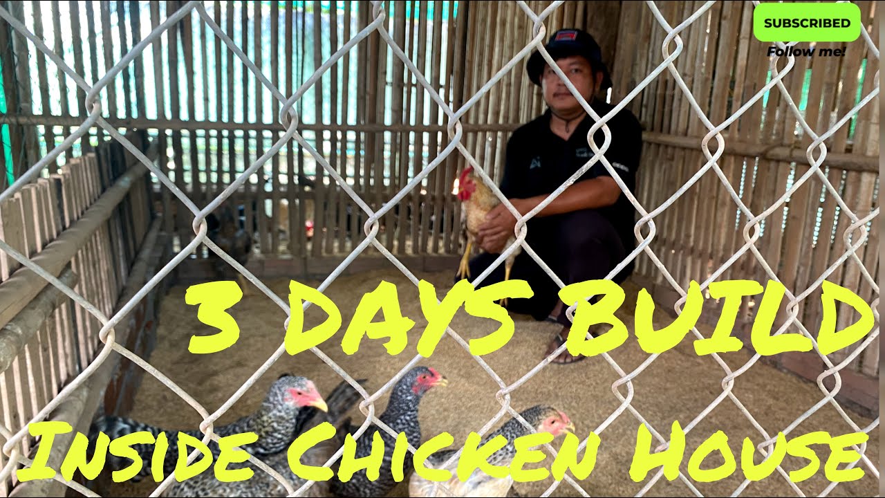 3 Days build inside Chicken House