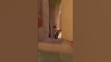 Самый приятный звук? | twitch.tv/vopjke #cs2 #s1mple #faceit #vopjke #donk #m0nesy