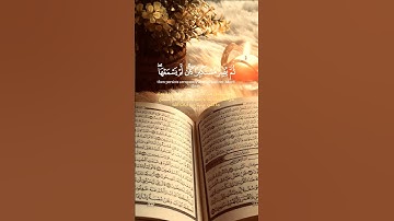 الشيخ ياسر الدوسري #quran سورة الجاثية ويل لكل أفاك أثيم تلاوات الفرقان