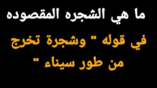 تحدي المعلومات|اسئله عامه للأذكياء؟أين تقع منطقة جي سبوت