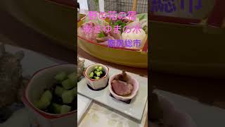 千葉県南房総市、野の花の宿、あさゆまの木！#shorts #ペットと一緒 #宿泊施設 #ワンちゃん と泊まれる