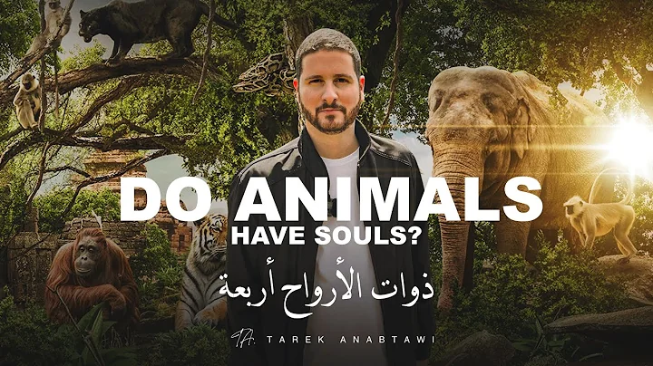 Do Animals Have Souls?  |     |  Episode 2