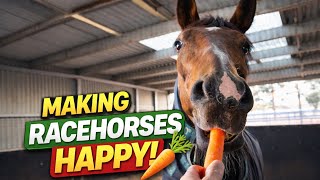 Making Racehorses Happy with Carrots 🥕 | Behind the Scenes at the Stable