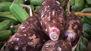 Ongoongo 201217