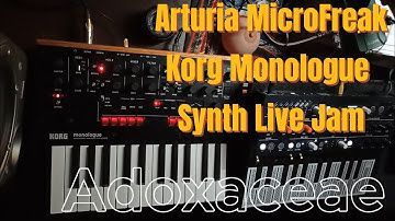 Arturia MicroFreak Korg Monologue Synth Live Jam - Adoxaceae