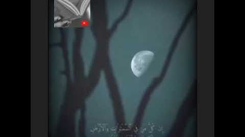 تلاوة خاشعة وآيات مباركة من سورة مريم📚/القارئ عبد الله الموسى/حالات واتس أب دينية.💞