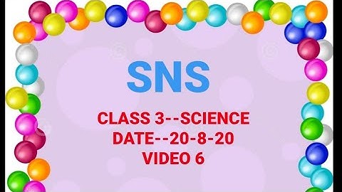 Samacheer Science -- Class 3--Lesson 1--My Body--Video 6 (20-8-20)