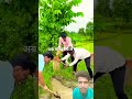#nivetadhingramusic
