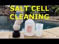 How to clean pool salt cell  how to clean pool salt water chlorinator