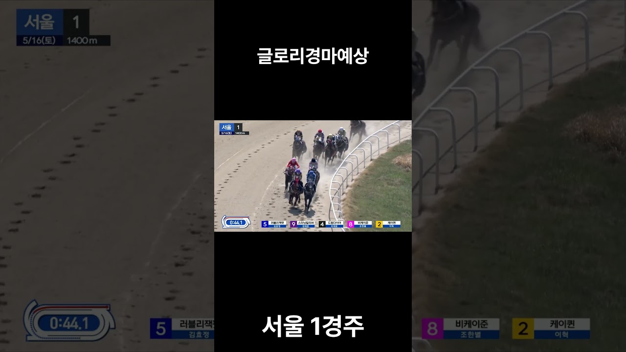 5월 16일 서울 1경주 삼복승 적중의 시작