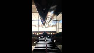 More Holiness Give Me, by Philip Paul Bliss, arrangement by Jenny Richards