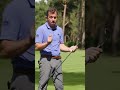 Dan Grieve + Hi-Toe 5 = APPROVED  #golf #taylormade #golfgear
