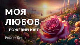 Роберт Бернс - Моя любов - рожевий квіт (аудіокнига)