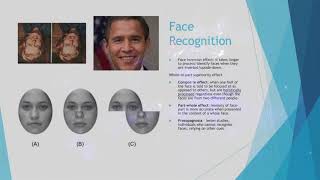Visual Attention, Object & Face Recognition