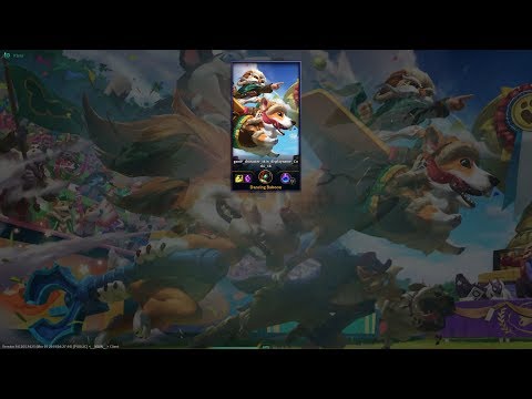 Corgi Corki || Skincheck #17